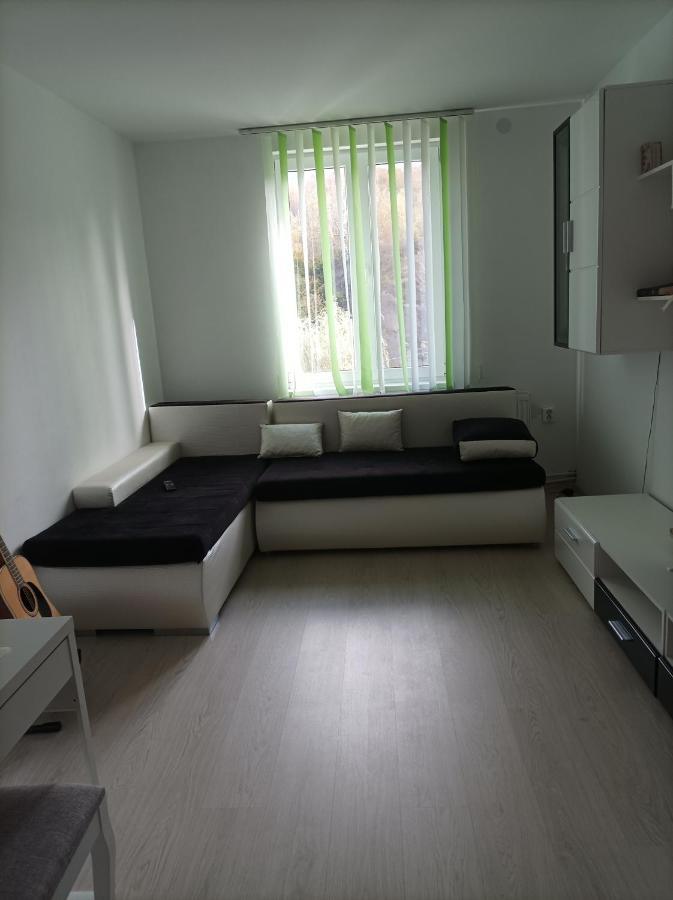 Apartament Doua Camere Uricani  Exterior foto